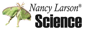 Nancy Larson Science